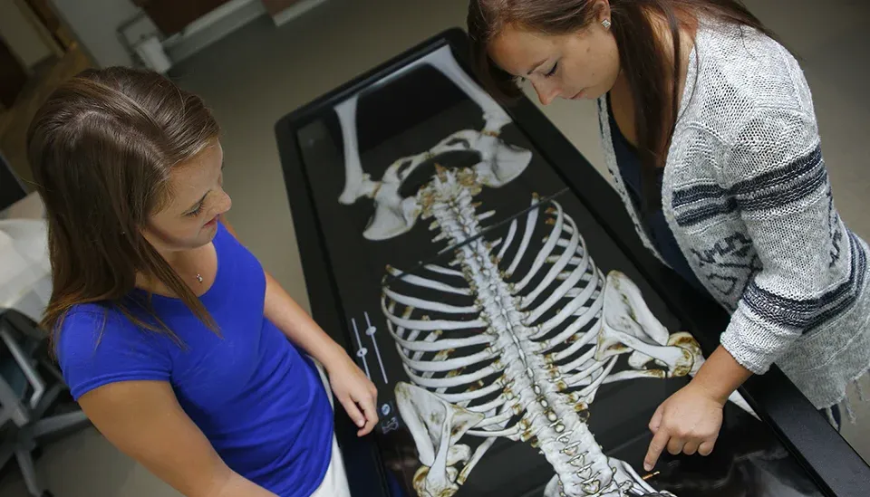 an instructor and student working on a virtual skeleton